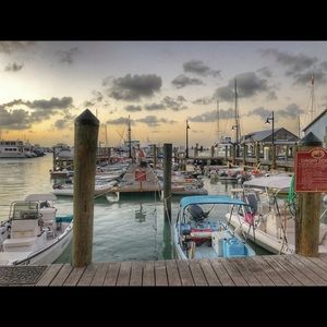 Meet your Posher, Travis